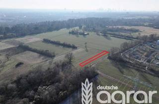 Gewerbeimmobilie kaufen in 60388 Bergen-Enkheim, Kleine Ackerfläche (ca. 541 m²) am Stadtrand von Frankfurt am Main in Bergen-Enkheim