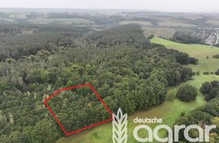 Gewerbeimmobilie kaufen in 07548 Gera, Eichen-Zukunfts-Mischwald (ca. 0,8 ha) westlich von Gera