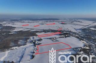 Gewerbeimmobilie kaufen in 16248 Niederfinow, Acker und Grünland (ca. 24 ha) bei Eberswalde in Niederfinow