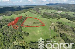 Gewerbeimmobilie kaufen in 67808 Schweisweiler, Saftiges Grünland oder Pferdekoppel bzw. Weide (ca. 5,5 ha) zw. Rockenhausen und Winnweiler