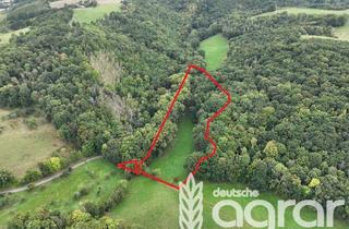 Gewerbeimmobilie kaufen in 01665 Klipphausen, Kleines Naturparadies mit Bachlauf (ca. 1,9 ha) nordwestlich von Dresden