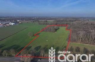 Gewerbeimmobilie kaufen in 47906 Kempen, Pachtfreies Grünland mit kl. Waldanteil (ca. 4 ha) - zw. Kempen und Grefrath