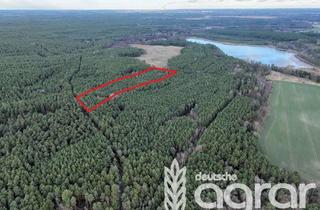 Gewerbeimmobilie kaufen in 01920 Oßling, Kiefernmischwald (ca. 1,4 ha) zw. Kamenz und Wittichenau in Lieske