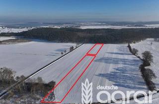 Gewerbeimmobilie kaufen in 17429 Benz, Ackerland (ca. 1 ha) auf der Ostseeinsel Usedom