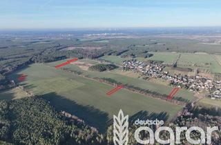 Gewerbeimmobilie kaufen in 01945 Guteborn, Weite, Ruhe, Natur – 2,3 ha Acker-, Wald- und Wiesenland bei Guteborn - südl. von Senftenberg