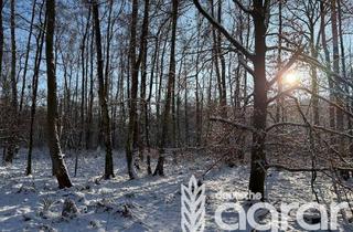 Gewerbeimmobilie kaufen in 17429 Benz, Nadel-Laub-Mischwald (ca. 0,6 ha) auf der Ostseeinsel Usedom