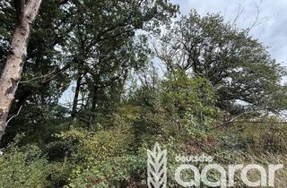 Gewerbeimmobilie kaufen in 01665 Klipphausen, Natürlicher Eichenmischwald (ca. 0,5 ha) nordwestlich von Dresden