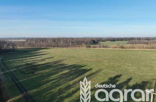 Gewerbeimmobilie kaufen in 01945 Ruhland, Kleine Wiese (ca. 0,2 ha) zw. Schwarzheide und Senftenberg