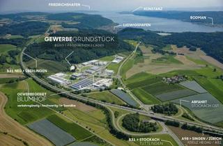 Gewerbeimmobilie kaufen in Blumhof, 78351 Bodman-Ludwigshafen, Gewerbegrundstück Blumhof - verkehrsgünstig I hochwertig I seenah