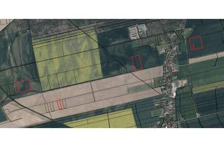 Gewerbeimmobilie kaufen in 04895 Falkenberg, 8,28 ha Ackerland im Landkreis Elbe-Elster