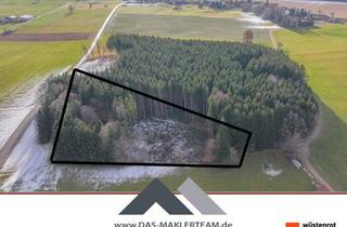 Grundstück zu kaufen in 86946 Vilgertshofen, Waldgrundstück nähe Stadl/Vilgertshofen günstig zu verkaufen!