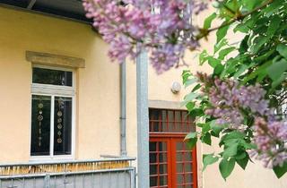 Wohnung kaufen in Heynahtsstraße (We 01), 01309 Gruna, Freie 3-Zimmer-Altbauwohnung mit großem Balkon zum ruhigen Garten