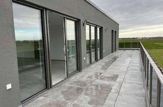 Penthouse mieten in 50127 Bergheim, Exklusives Penthouse im Neubaugebiet Bergheim-Ahe