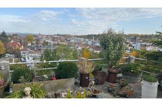 Wohnung mieten in 71522 Backnang, 107 qm große 2-Zimmer-Wohnung mit moderner Einbauküche, großem Balkon, mit traumhaftem Ausblick