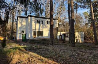 Wohnung mieten in 13505 Konradshöhe, 2 hochwertig sanierte Wohnungen (100 m²) in Konradshöhe