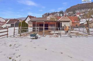 Haus kaufen in 63828 Kleinkahl, Reitanwesen mit Bachlauf: Ställe, Reitplatz, Scheune – 423 m², 18 Zi., 2.578 m² Kleinkahl