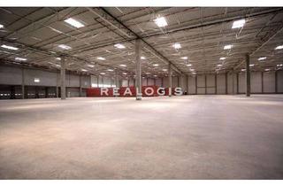 Gewerbeimmobilie mieten in 21423 Winsen, Winsen, ca. 20.000 m² Logistikanlage zu vermieten
