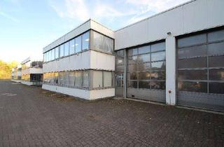 Büro zu mieten in 53639 Königswinter, 4 Gewerbehallen insgesamt 1625 m² Nutzfläche+Büros 438 m² teilbar ab 200 m² große Rolltore befahrbar