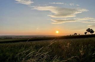 Grundstück zu kaufen in Im Wiesengrund 10, 38319 Remlingen, Baugrundstück mit Baugenehmigung in idyllischer Dorflage
