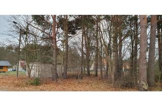 Grundstück zu kaufen in 15806 Zossen, Dabendorf: Attraktives Baugrundstück in Südwestlage in Berlin-Nähe