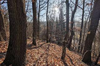 Grundstück zu kaufen in 08066 Pölbitz, - AUKTION 19.03.2026 - Baugrundstück in attraktiver Lage von Zwickau