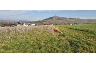 Grundstück zu kaufen in Amselweg 00, 71723 Großbottwar, !!RESERVIERT! Provisionsfrei! Wunderschöner Bauplatz in Randlage