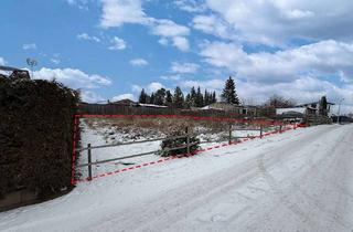 Grundstück zu kaufen in 38524 Sassenburg, Baugrundstück im Naherholungsgebiet am Bernsteinsee