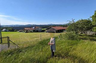 Grundstück zu kaufen in 94481 Grafenau, Großes Baugrundstück in ruhiger Lage - Elmberg Süd