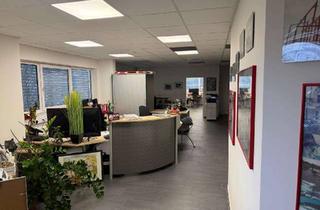 Büro zu mieten in Im Bruch, 76744 Wörth, Büro 150qm mit Wohnung ca. 144qm und Terrasse 70qm