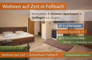 Immobilie mieten in Hofener Str., 70736 Fellbach, 1-Zimmer-Apartment (08) mit WLAN, TV, Dusche/Wc, Küche, Waschmaschine, Trockner und Parkpl