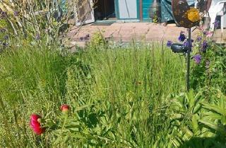 Haus kaufen in 18569 Gingst, Gingst - Wunderschöner Garten mit Holzhaus, Terrasse und vielen Obstbäumen