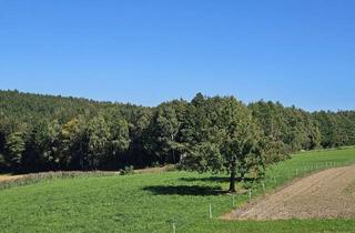 Wohnung mieten in 86830 Schwabmünchen, Wohnjuwel auf dem Land, Helle 4-Zimmer DG-Wohnung mit 2 Balkone