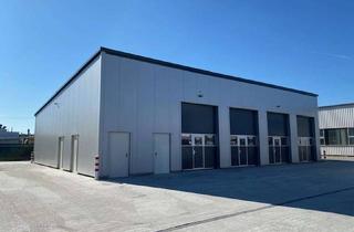 Gewerbeimmobilie mieten in Rudolf-Diesel-Straße 11 b, 67227 Frankenthal, Lager- oder Raumproblem? * Abstellplatz * Archiv * Lager Die Lösung - 1A easy Storage