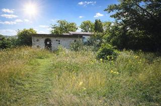 Grundstück zu kaufen in Röddeliner Straße 30B, 17268 Templin, Wohngrundstück für Ihr Traumhaus in Templin