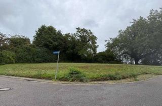 Grundstück zu kaufen in 74889 Sinsheim, Top-Lage in Sinsheim-Steinsfurt: Traumgrundstück direkt am Feldrand