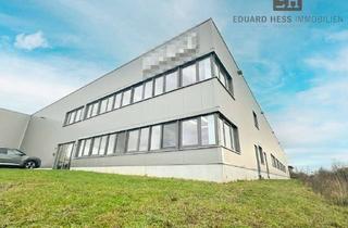 Büro zu mieten in 68623 Lampertheim, ++ TOP Büroflächen (Etage) - Bj. 2019 - Erweiterbar um Hallen-/Lager- & zusätzl. Büroflächen ++