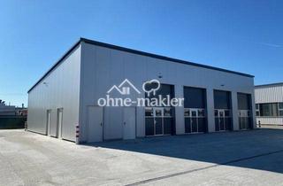 Geschäftslokal mieten in Rudolf-Diesel-Straße 11 B, 67227 Frankenthal, Lager- oder Raumproblem? * Abstellplatz * Archiv * Lager Die Lösung - 1A easy Storage