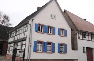 Wohnung mieten in 64832 Babenhausen, Freundliche und renovierte 2,5-Raum-Wohnung in Babenhausen/Hergershausen