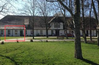 Wohnung mieten in Dorfstraße 19, 18314 Divitz-Spoldershagen, Wohnen im ehemaligen Gutshaus in Spoldershagen