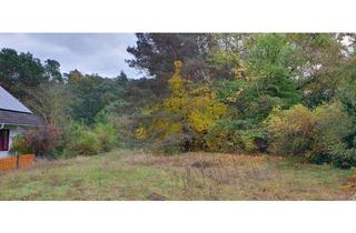 Grundstück zu kaufen in 15746 Groß Köris, Gemeinde Groß Köris: Attraktives, baufreies Grundstück für EFH mit positivem Bauvorbescheid