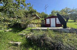 Grundstück zu kaufen in 72555 Metzingen, Idyllische Streuobstwiese mit Gartenhaus in Metzingen-Neuhausen