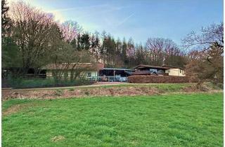 Immobilie kaufen in 66687 Wadern, Repräsentatives Gestüt mit Wohnhaus im Nordsaarland