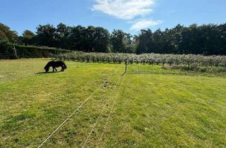 Immobilie kaufen in 52525 Heinsberg, Blaubeeren und Spargel Hof auf 4,98 Hektar mit Geschäfthaus und Wunderschönes Freistehendes Wohnhaus