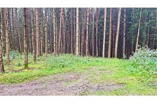 Gewerbeimmobilie kaufen in 84568 Pleiskirchen, Waldflächen mit gewachsenem Baumbestand nahe Pleiskirchen