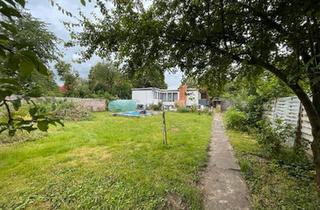 Einfamilienhaus kaufen in 39397 Gröningen, Gröningen - Bungalow mit großem Grundstück, Vollkeller und viel Potenzial