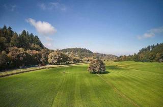Haus kaufen in Schauinslandstraße 18, 79100 Freiburg, Freiburg im Breisgau - Modernisiertes 4-Fam.Haus Bj. 1890 + Fabrik-Loft-Etage + viele neue Details + 405qm WNF + 528qm GS + Gartenhs + Paradiesgarten + ideal f. Aufteilg
