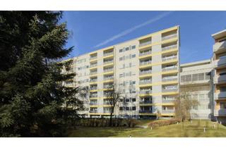 Wohnung mieten in Hübschstraße, 95448 Hammerstatt, Frisch sanierte 2-Zimmer-Wohnung mit Schwimmbad & Sauna – zentral am Volksfestplatz!