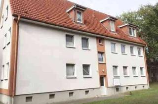 Wohnung mieten in Berliner Str. 49, 21481 Lauenburg, Wer will mich!? Ansprechende 2-Zimmer-Wohnung