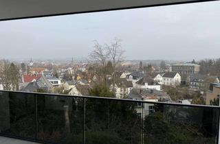 Wohnung mieten in Brahmsstraße 13, 32756 Detmold, Luxuriöse Neubau-Wohnung über den Dächern von Detmold (Erstbezug)