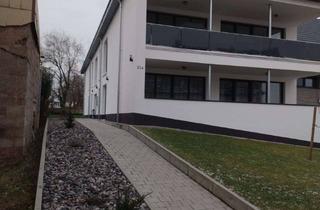 Wohnung mieten in 66989 Höheischweiler, Barrierefreie 3-Zimmer Erdgeschosswohnung mit Terasse in Höheischweiler